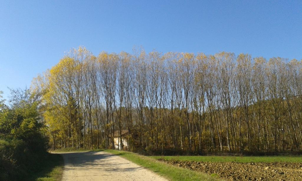 Vista Sul Patrimonio Dell'Unesco Cortiglione 외부 사진